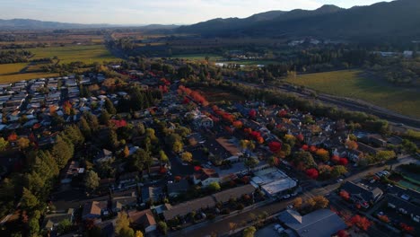 aerial-push-over-small-town-during-Autumn-in-the-Napa-valley-showcasing-colorful-tree's