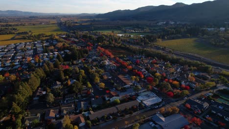 aerial push over small town during autumn in the napa valley showcasing colorful tree's