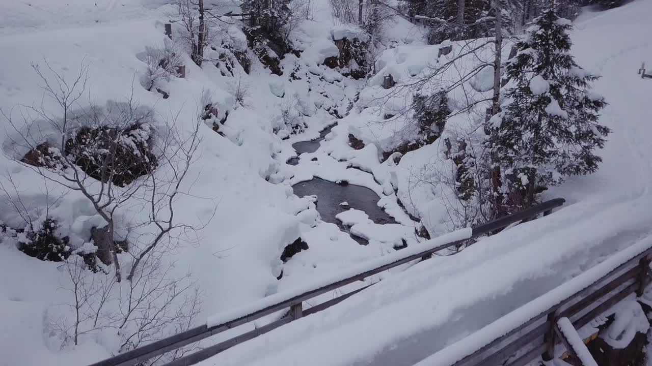 겨울 원더 랜드