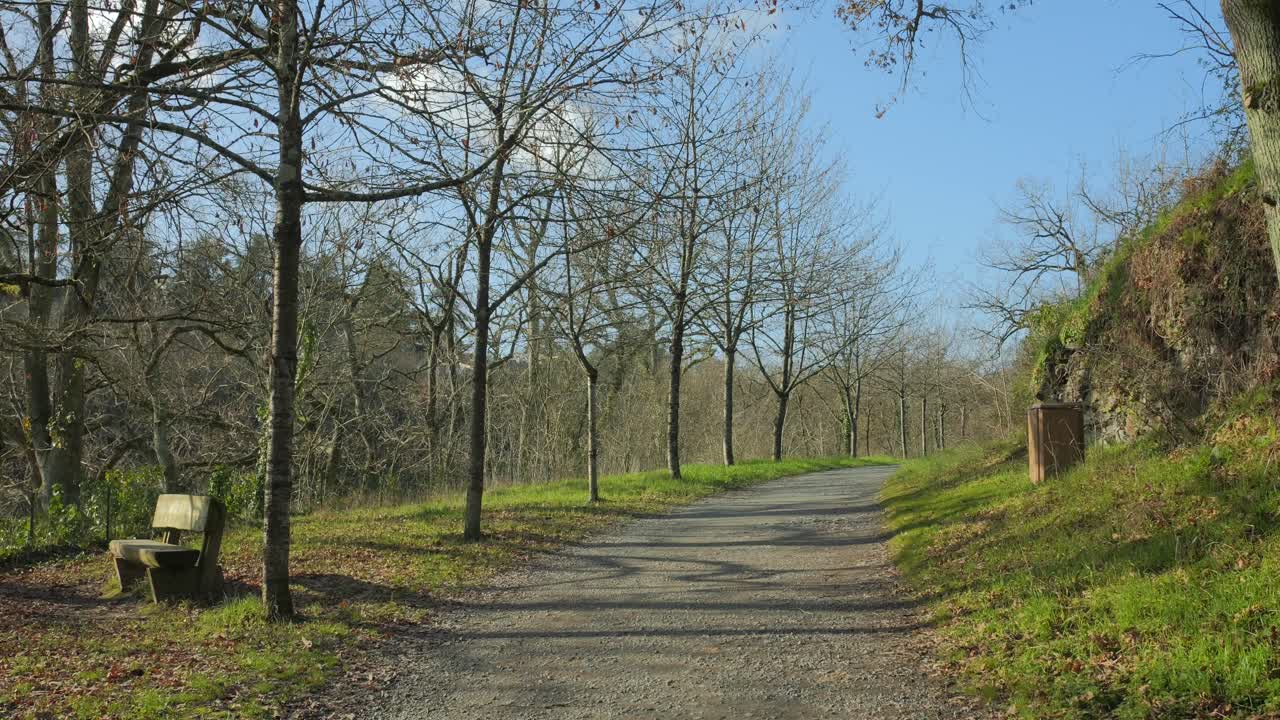 sendero vacío bordeado de árboles desnudos en el parque de san nicolas en un día soleado en invierno en ira, francia