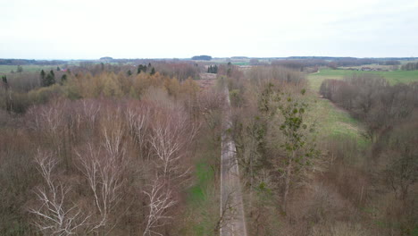 Drone-pullback-over-country-road-through-woods-with-leafless-tree-canopy