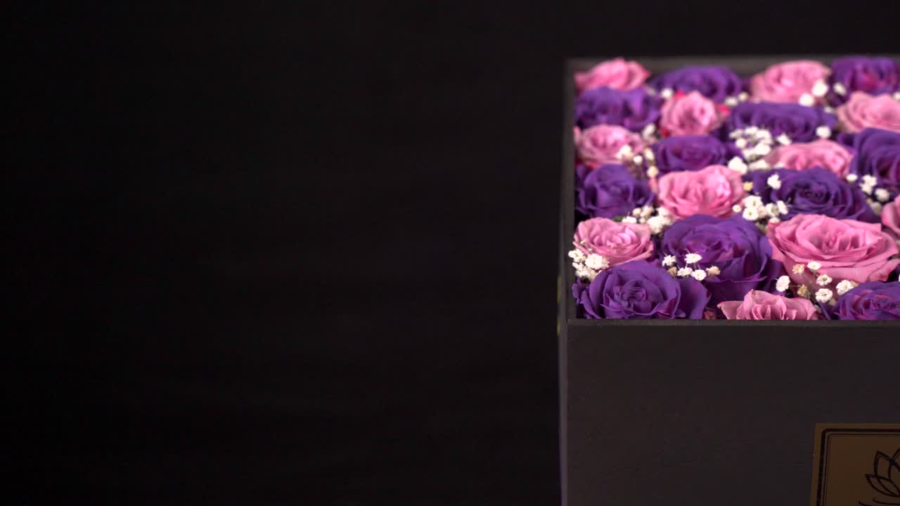 Rose rosa e viola in una scatola regalo, ripresa con slider su sfondo nero.