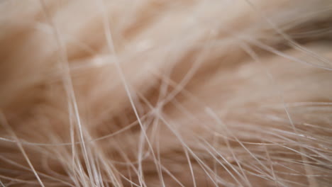 textura de cabello artificial desordenado como fondo de primer plano extremo