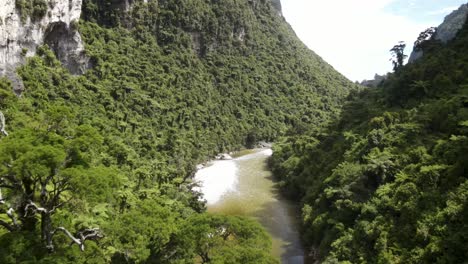 hermosa vista de drones del río fox y la exuberante vegetación verde nativa del parque nacional de paparoa, nueva zelanda