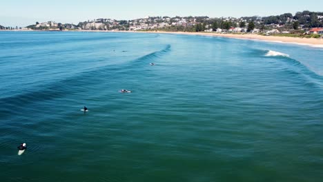 Drohnen-Luftaufnahme-Von-Surfern,-Die-Auf-Wellen-Warten-Und-Sich-Entlang-Des-Terrigal-Beach-Aufstellen,-Die-Biegung-Des-Pazifischen-Ozeans,-Zentrale-Küste,-NSW,-Australien-3840x2160-4k