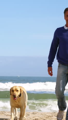 happy mature couple walking with dog on the beach