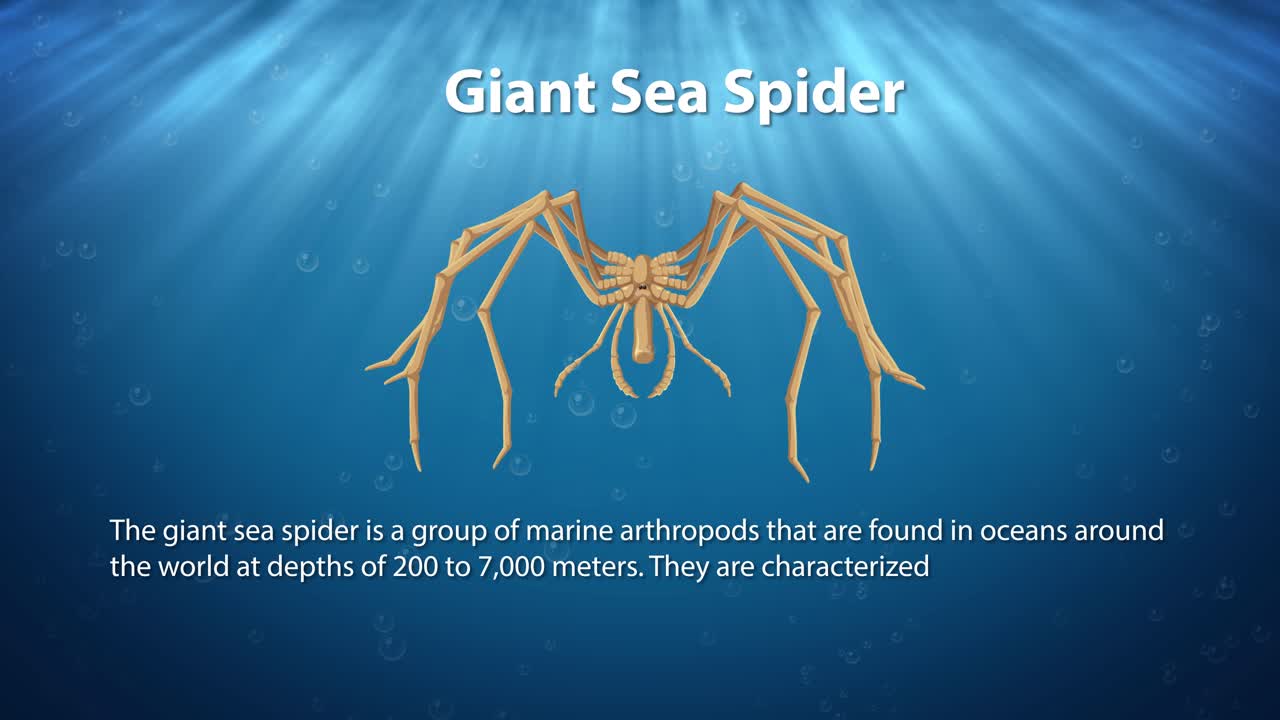 해양 관절류 종의 교육 전시회