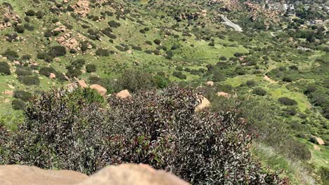 top of the mountain view after a hike