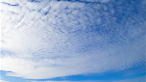 altocumulus cloudscape covering the horizon. beautiful clouds in the azure skies. low angle view.
