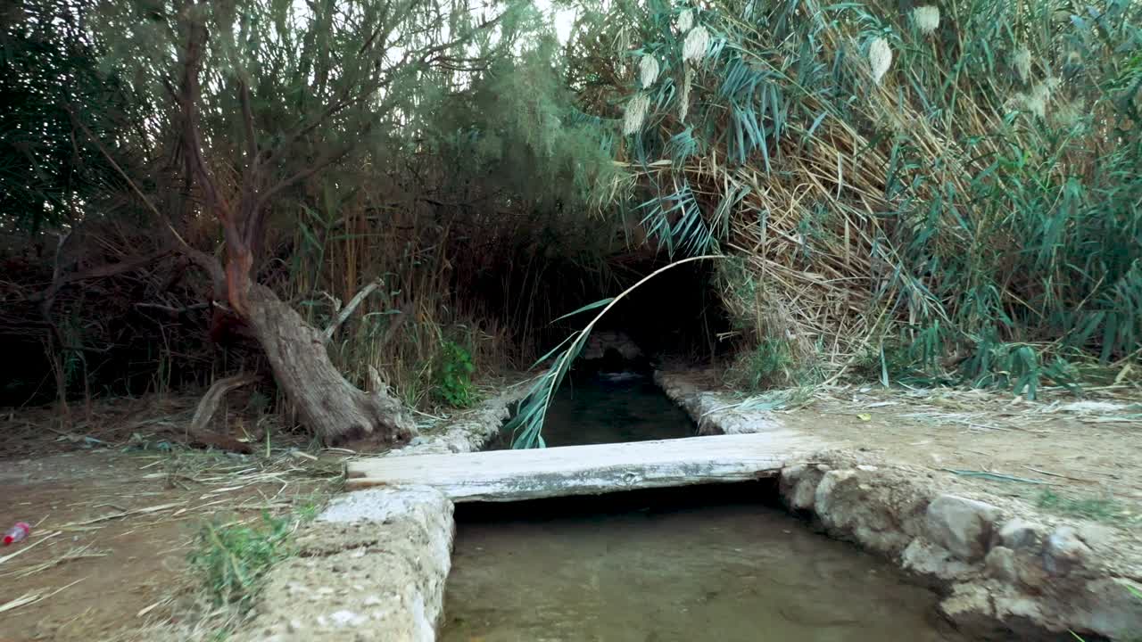 이스라엘의 작은 개울가에 있는 작은 녹색 피크닉 장소에서 앞으로 날아갑니다.
