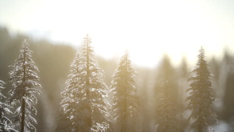 Dramatischer-Wintersonnenaufgang-In-Den-Bergen