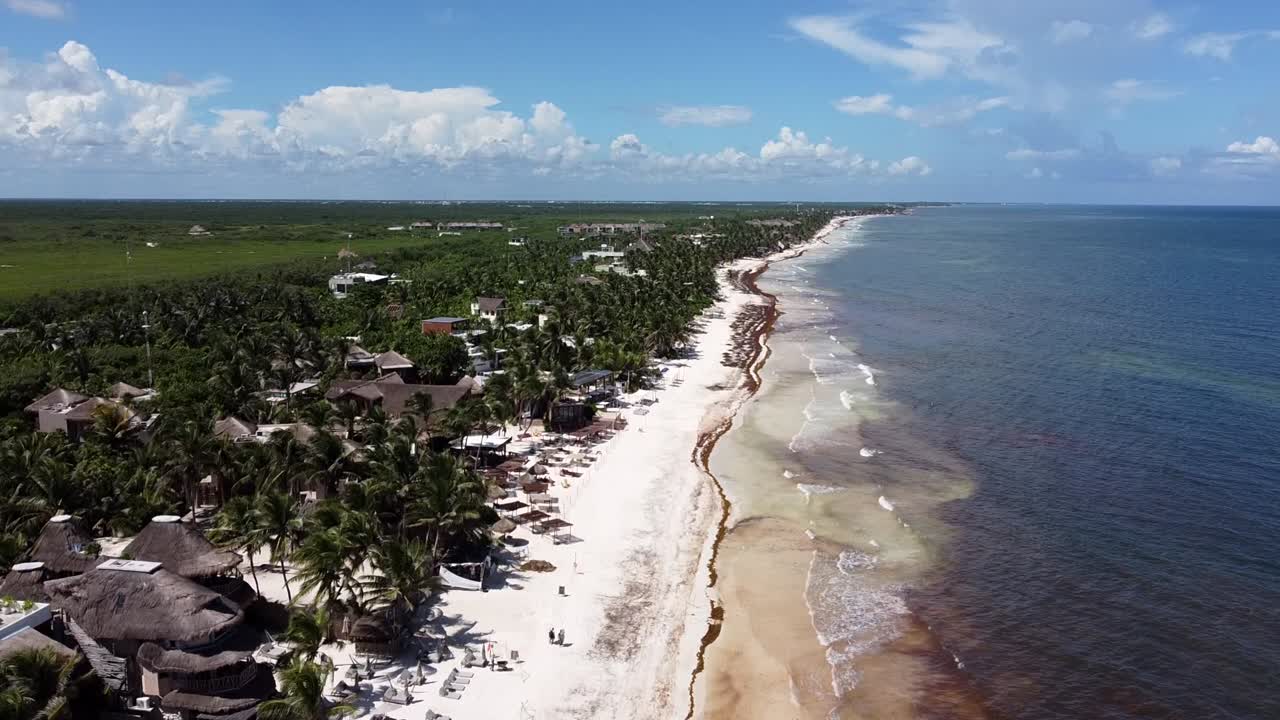 zona hotelera en tulum con hermosa costa de playa de arena blanca arruinada por sargazo, antena