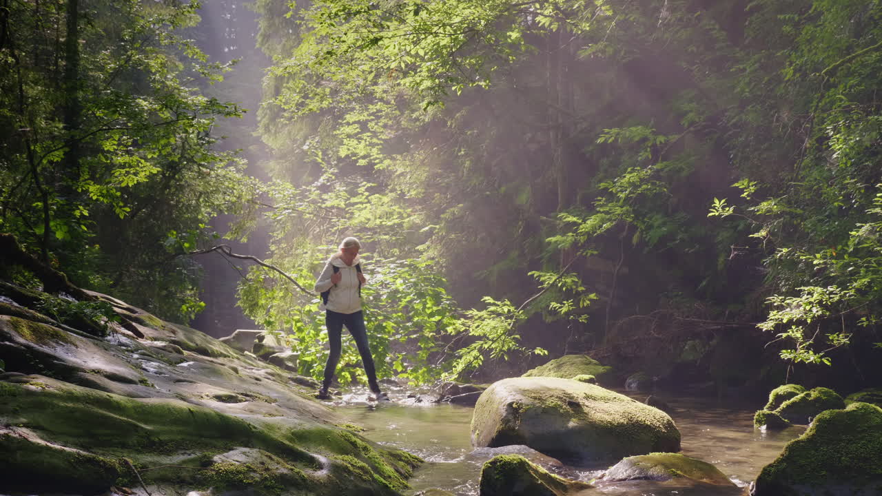 외로운 여자가 숲에서 길을 잃은 숲의 물을 헤매다 위험한 모험 the ra