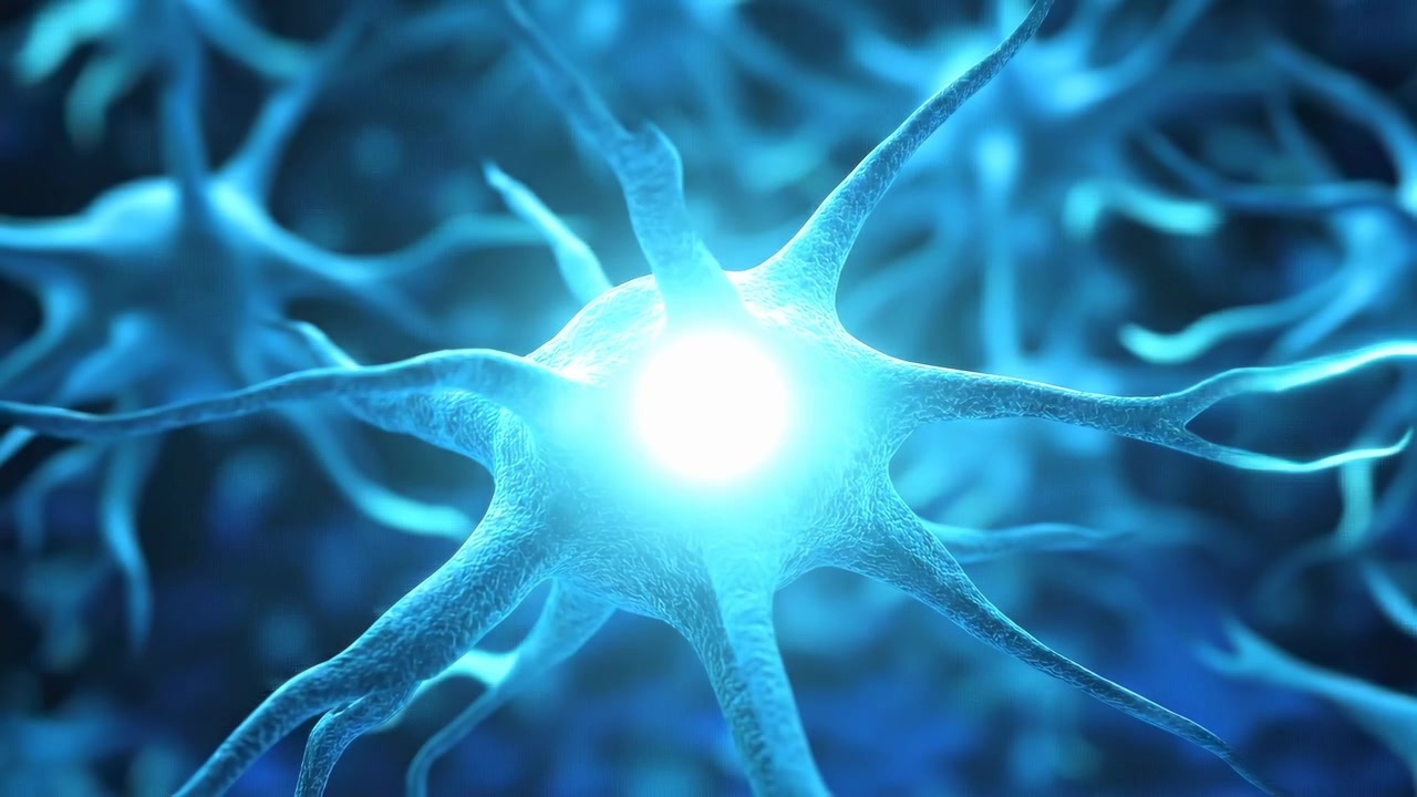 Abstract Representation of Neuron Firing and Transmitting Signals