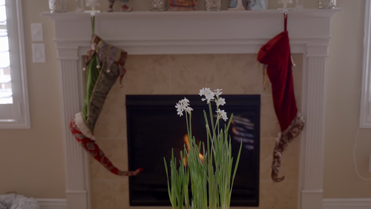 백그라운드에서 벽난로에 불이 있는 화분에서 자라는 수선화 꽃 - 시차 운동