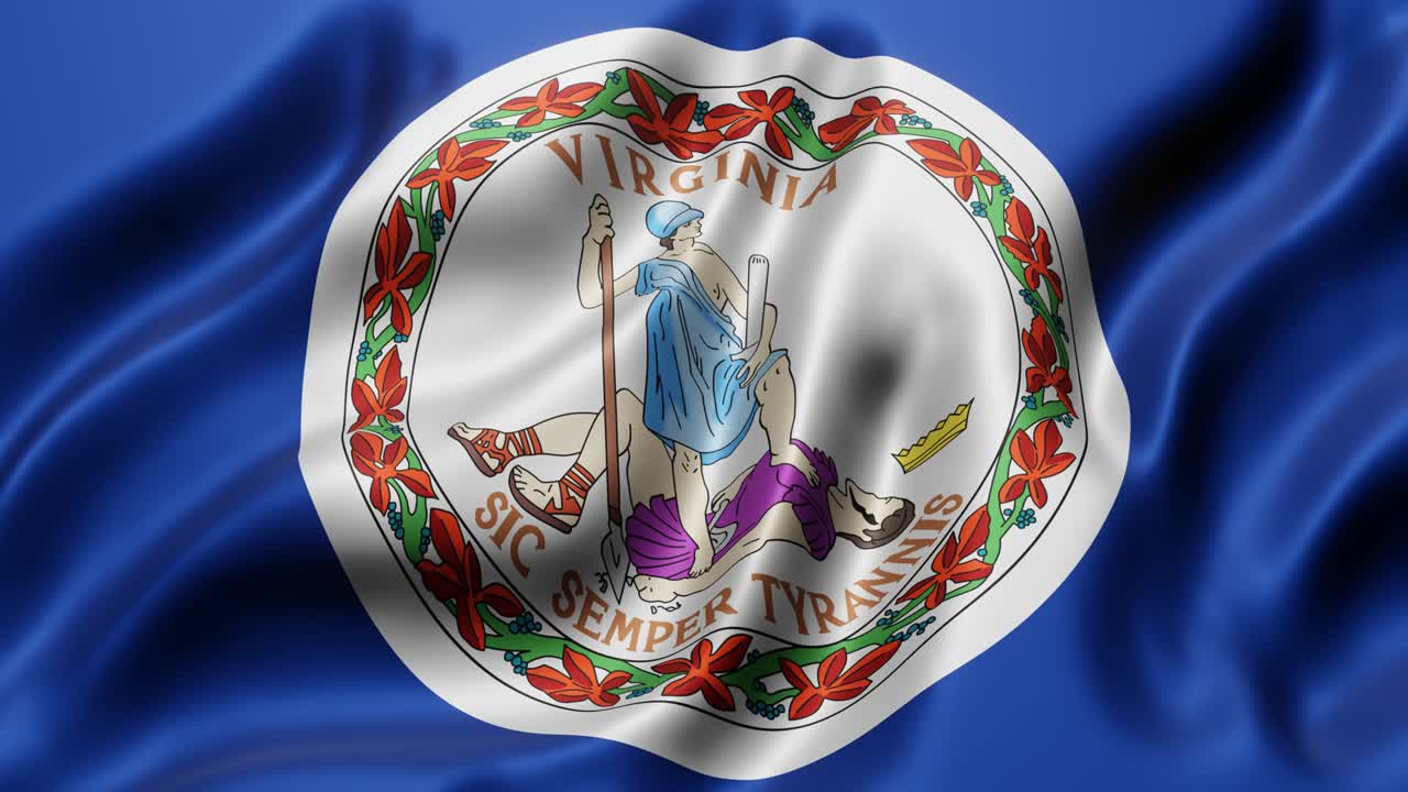 버지니아 미국 국기 흔들기