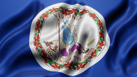 la bandera del estado de virginia de los estados unidos ondeando