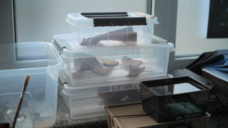 cajas de almacenamiento de artefactos