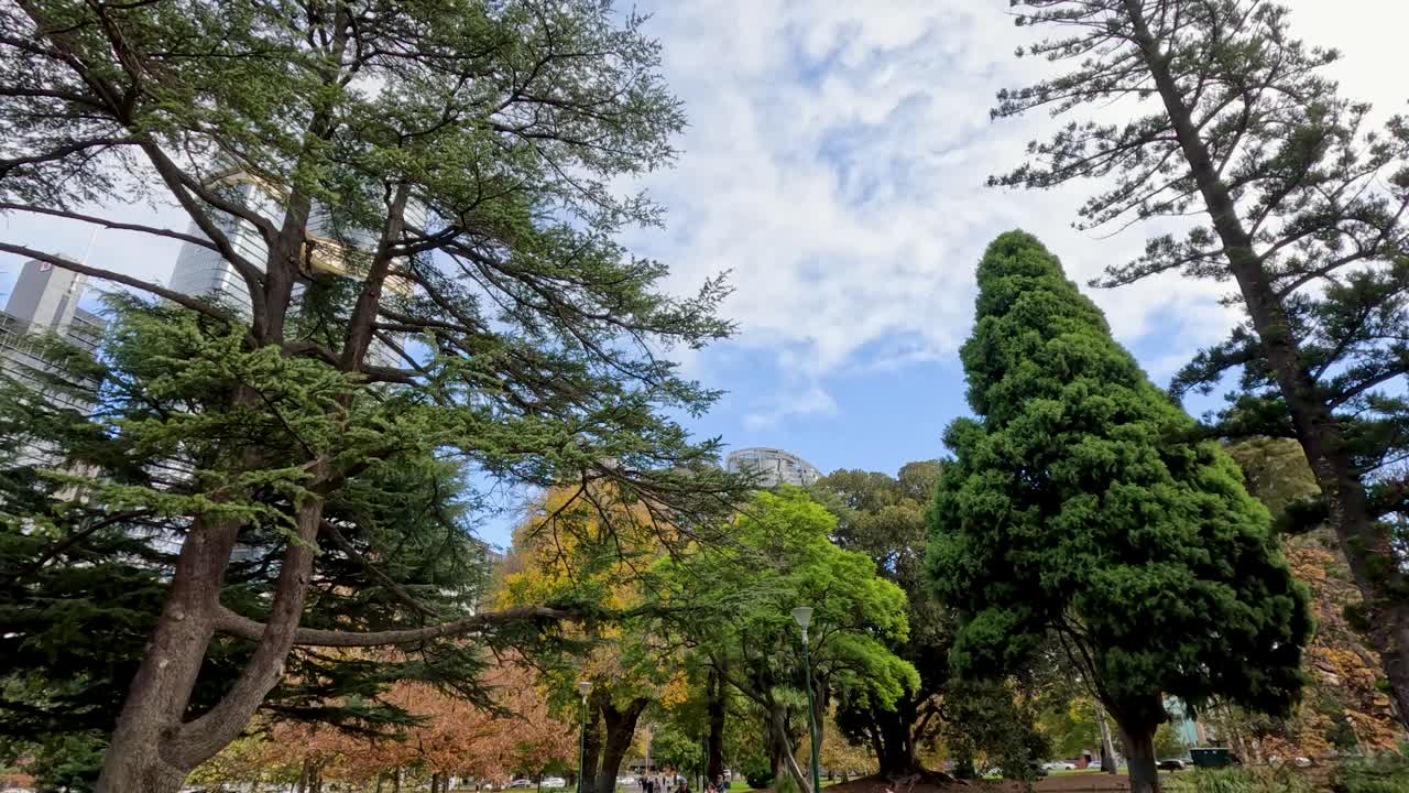 멜버른 공원 에서 산책 하는 사람 들