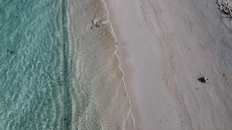 Una-Costa-De-Playa-Aislada-En-Una-Isla-Tropical-En-El-Océano-Índico