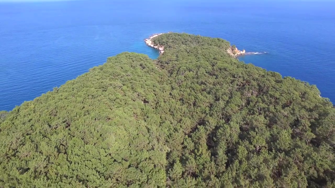 Vista aerea di una rigogliosa penisola verde circondata dal mare blu
