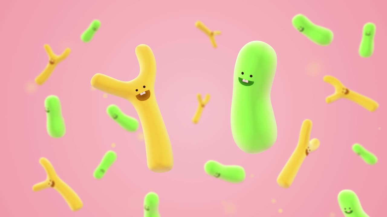 만화 모양의 비피도박테리아