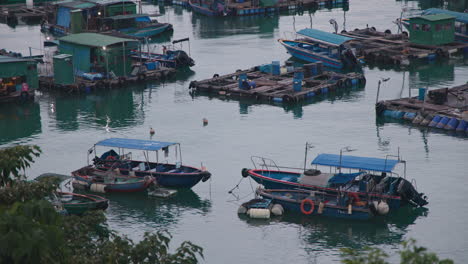 hong kong traditional fishing village with boats and fish farms