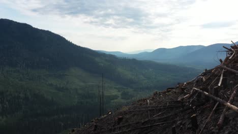 Forest's-Resilience:-Drone-Footage-of-Clearwater,-BC-Regrowth-of-Forest-Fire