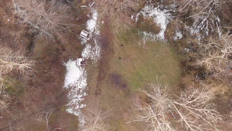 imágenes aéreas viajando por el bosque