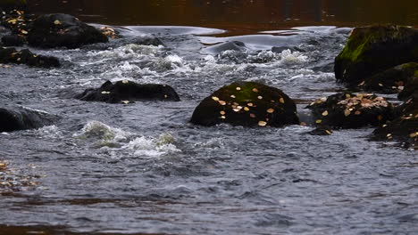 group of rocks in a river rapids in autumn