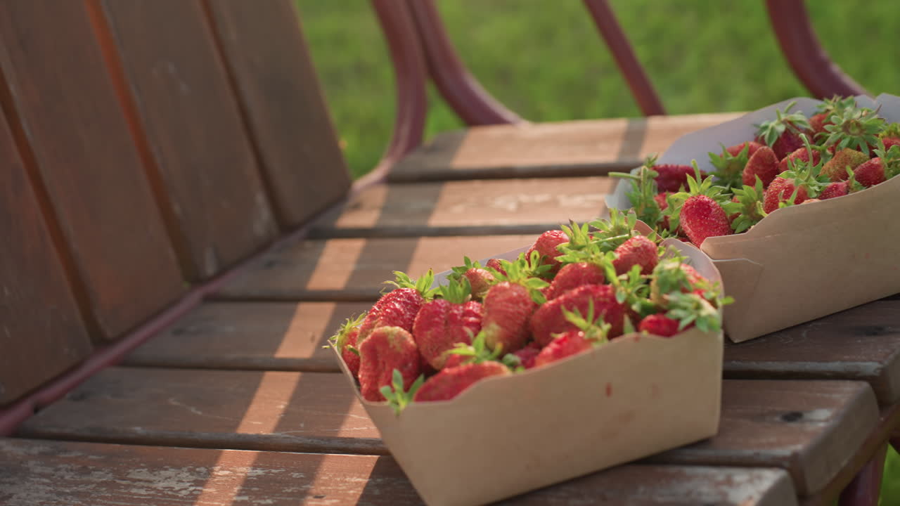 close up of cardboard box filled with fresh strawberries on rustic wooden swing bench bathed in warm golden sunlight showcasing weathered texture gentle garden blur behind