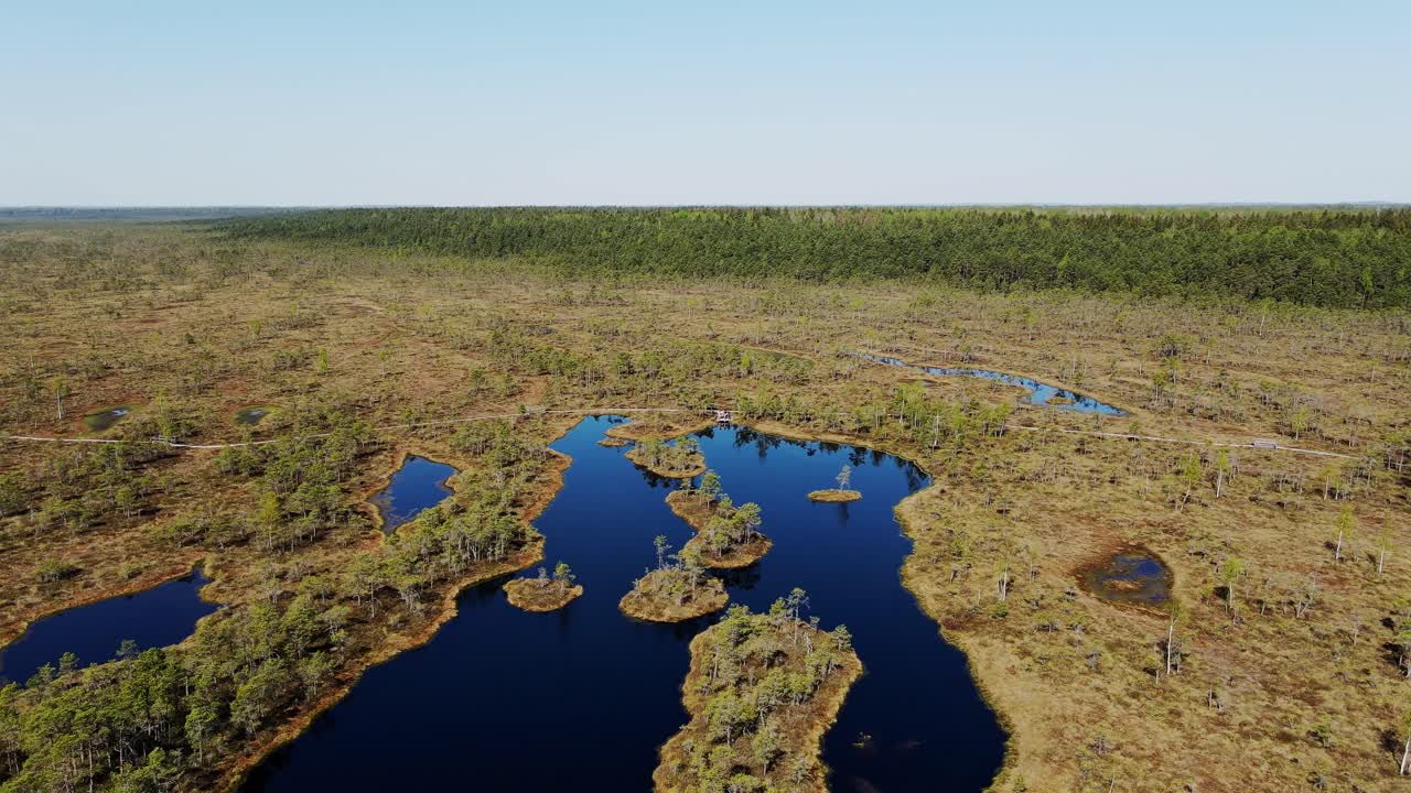 Peat bogs with blue pools and pine clusters in wild Ķemeri National Park, Drone