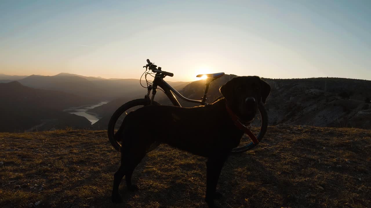Labrador nero davanti a una bicicletta in cima a una montagna al tramonto.