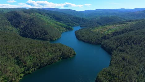 pine forest mountains in galicia, spain surround the rio avia river