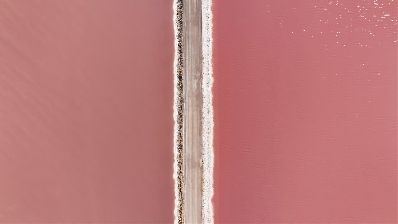 자연의 예술은 살린 듀 미디의 분홍색 광활에서 완전히 전시됩니다.