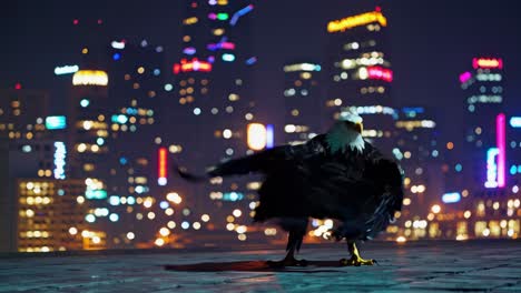 eagle in the night city