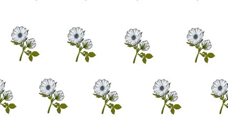 composición de filas de flores blancas que se mueven sobre un fondo blanco