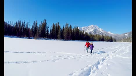 skier couple walking on snowy landscape 4k