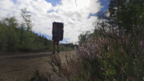 Man-backpacking-hiking-with-bouldering-crash-pads-on-gravel-trail-through-trees