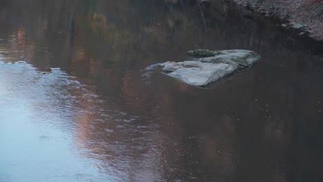 Der-Wissahickon-Creek,-Langsame-Strömung,-Keine-Turbulenzen,-Herbst