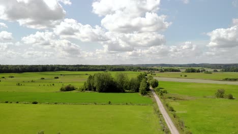 Grüne-Wiesen-Und-Felder,-Feldweg-Zwischen-Feldern,-Entlang-Der-Straße-Wachsen-Hohe-Bäume-Mit-Grünen-Blättern