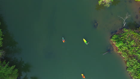 Disparo-De-Drone-Vista-De-ángulo-Superior-Video-Panorámico-De-árboles-De-Granja-De-Cocos-Zona-Costera-Costa-País-Tropical-India-Kerala-Paisaje-Natural-Laguna-De-Remansos