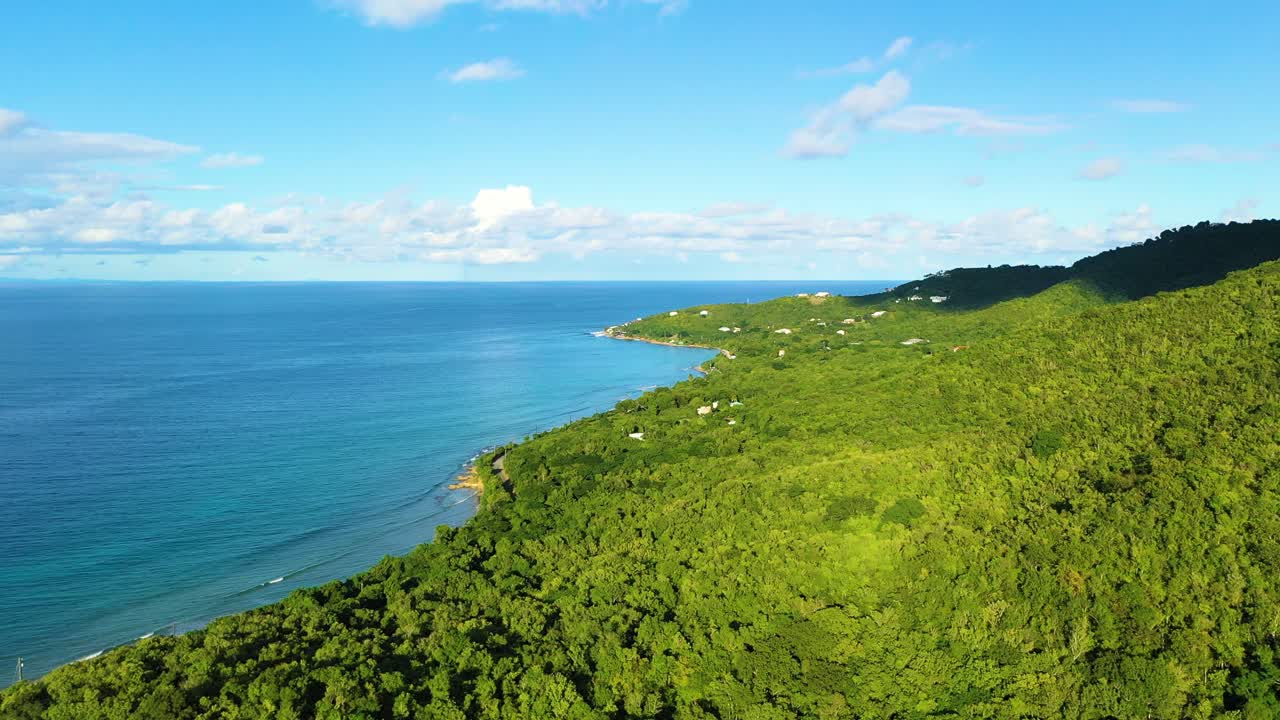 Above the sunlit Caribbean coast of St. Croix, USVI, a few luxury villas rest in the trees near tranquil turquoise waters, offering unmatched privacy and serenity