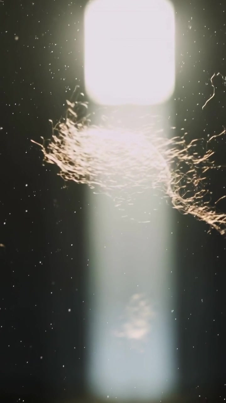 Video verticale: Luce che appare e illumina la polvere mentre capelli ricci ondeggiano nello studio, spazio per il testo.