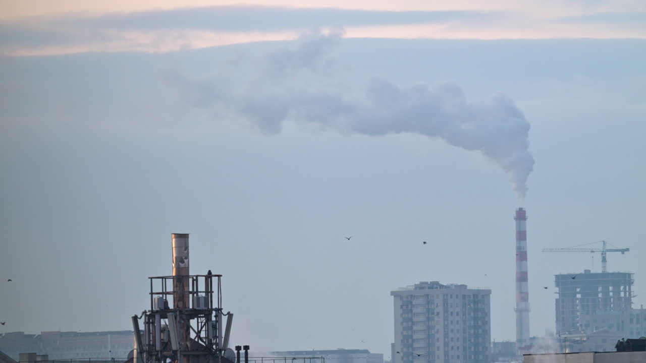 City rooftops on a cold winter day with multiple chimneys releasing white smoke into a pale sky