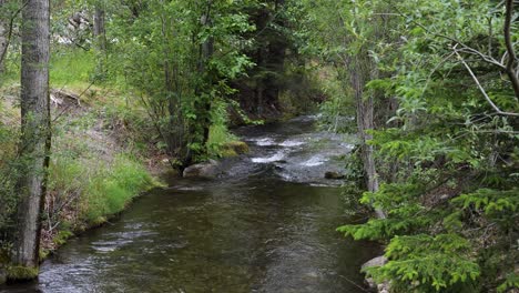 pullen creek stream walk in skagway, alaska.