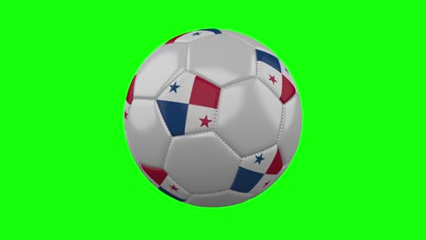 soccer ball with panama flag on green chroma key, loop