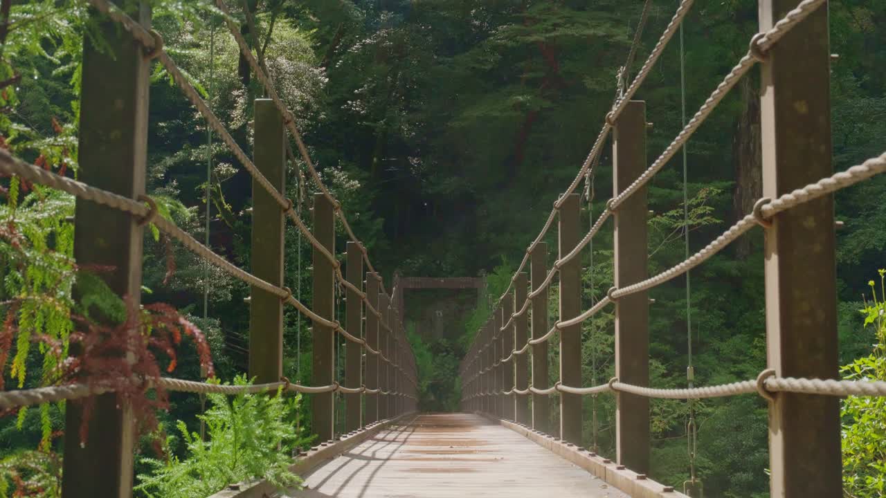 Wooden suspension bridge in the tropical rainforest of Yakushima Island, Japan. Surrounded by dense green foliage and crossing over a river on a peaceful hiking trail.