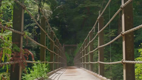 wooden suspension bridge in the tropical rainforest of yakushima island, japan. surrounded by dense green foliage and crossing over a river on a peaceful hiking trail.