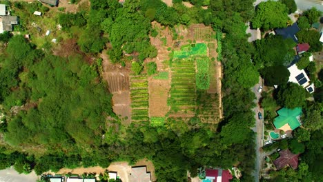 bird's eye view cloud shadows pass over sustainable agriculture in urban area